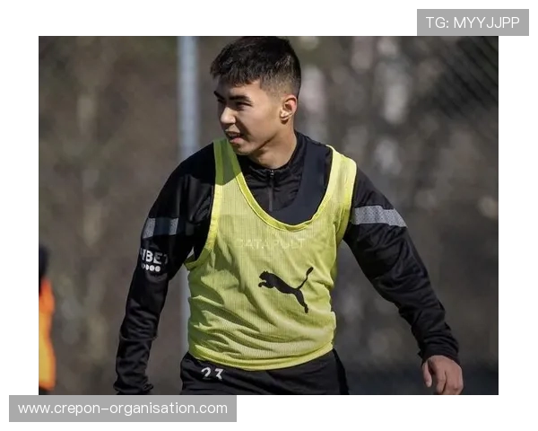 艾菲尔丁:无论他人如何评价,敢于坚持自我与拥有大心脏是我独特的优势 艾菲尔丁:无论他人如何评价,敢于坚持自我与拥有大心脏是我独特的优势