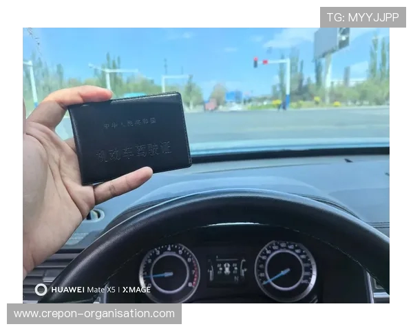 谢文能成功晒出驾照仅用二十九天顺利拿证驾考全程一把通过 谢文能成功晒出驾照仅用二十九天顺利拿证驾考全程一把通过